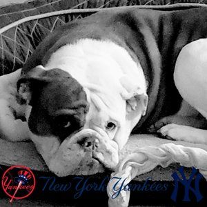 Meet your Posher, Denise